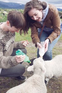 City Mouse, Island Mouse