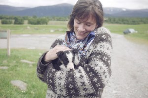 City Mouse, Island Mouse