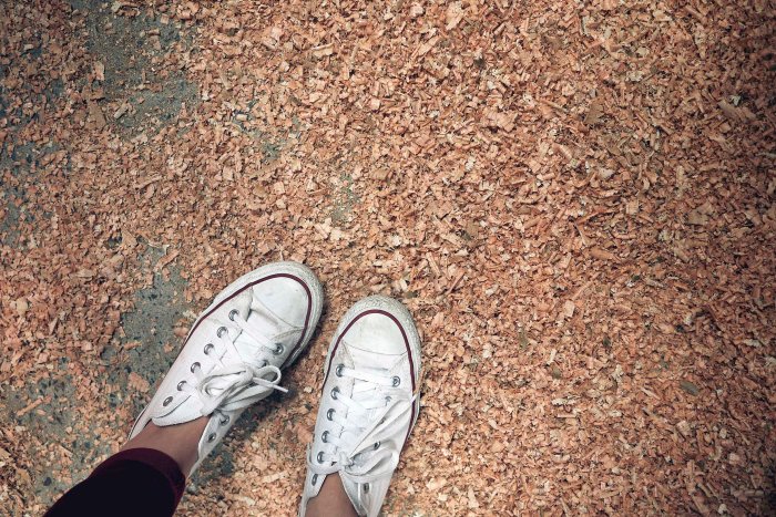 City Mouse, Island Mouse