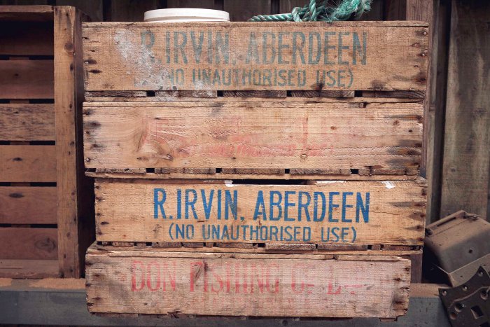 City Mouse, Island Mouse