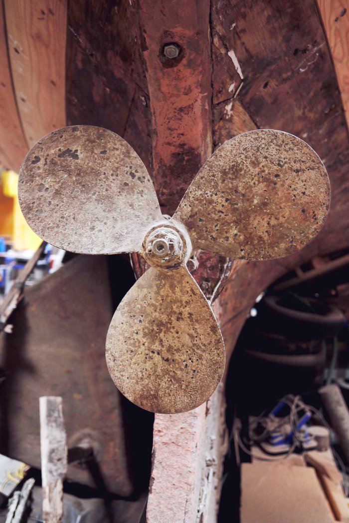 City Mouse, Island Mouse