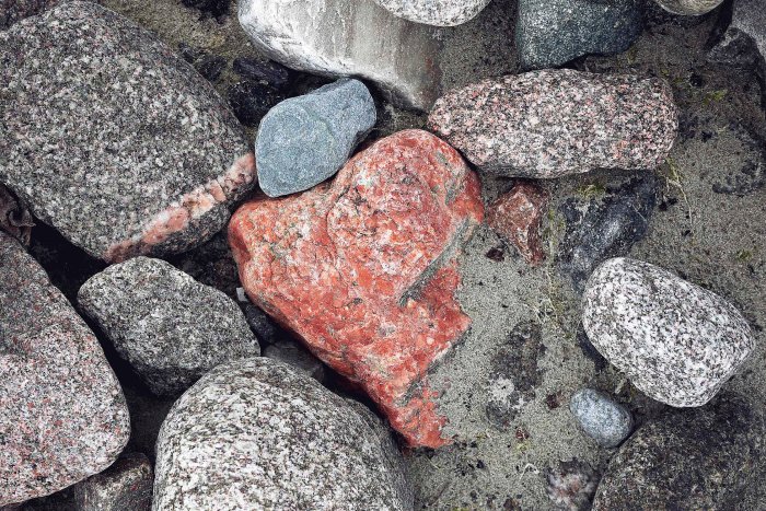 City Mouse, Island Mouse