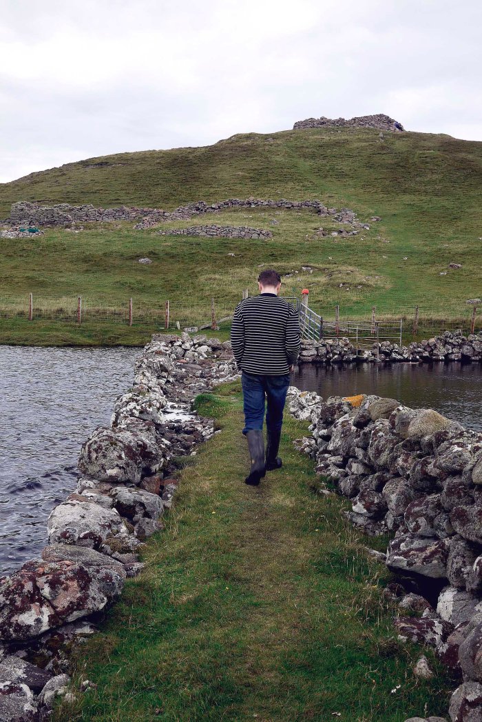 City Mouse Island Mouse