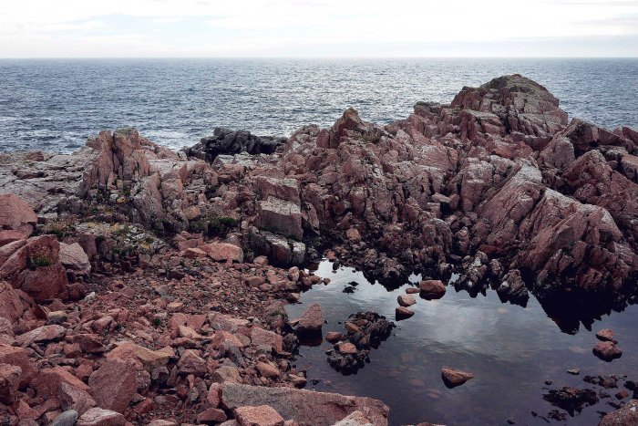 City Mouse Island Mouse