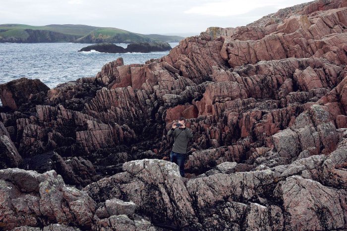 City Mouse Island Mouse