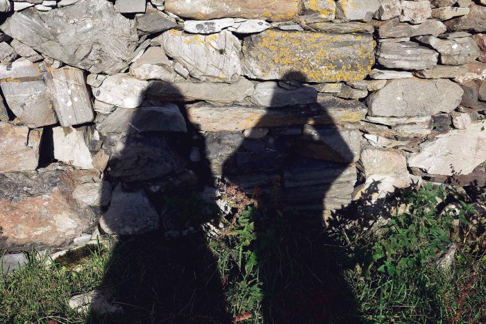 City Mouse Island Mouse