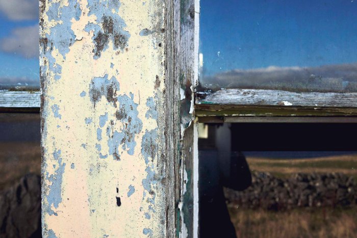 City Mouse Island Mouse