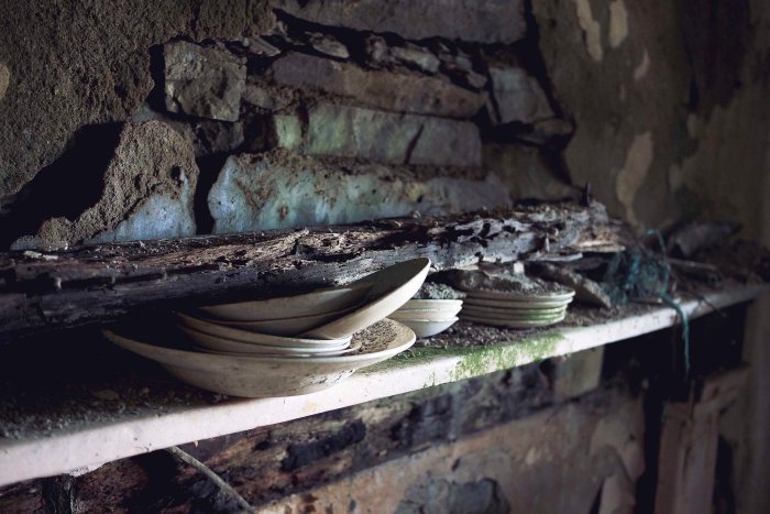 City Mouse Island Mouse