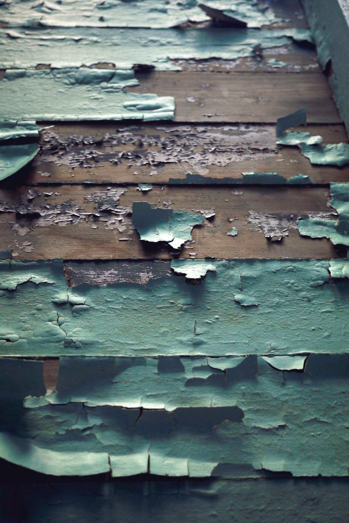 City Mouse Island Mouse