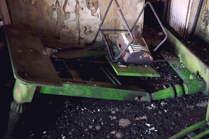 City Mouse Island Mouse