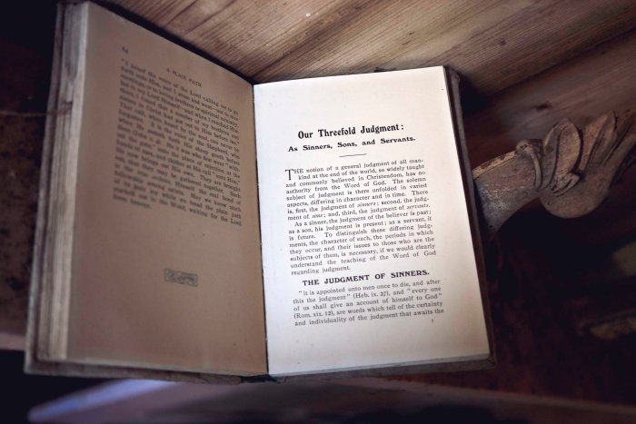 City Mouse Island Mouse