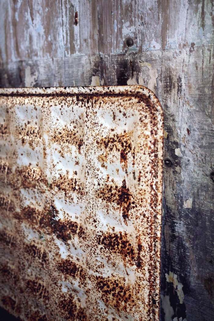 City Mouse Island Mouse