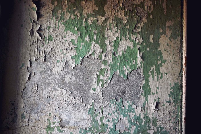 City Mouse Island Mouse