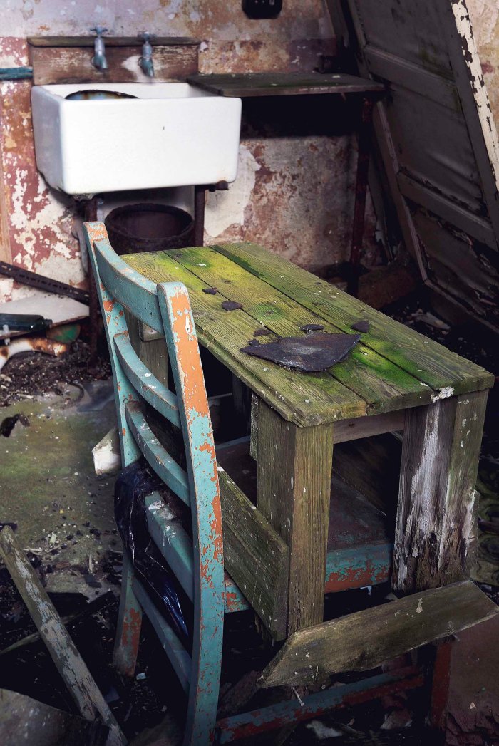 City Mouse Island Mouse