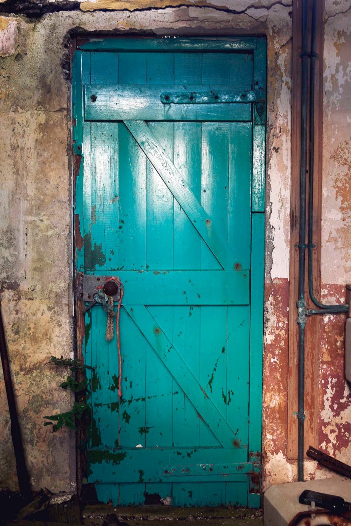 City Mouse Island Mouse