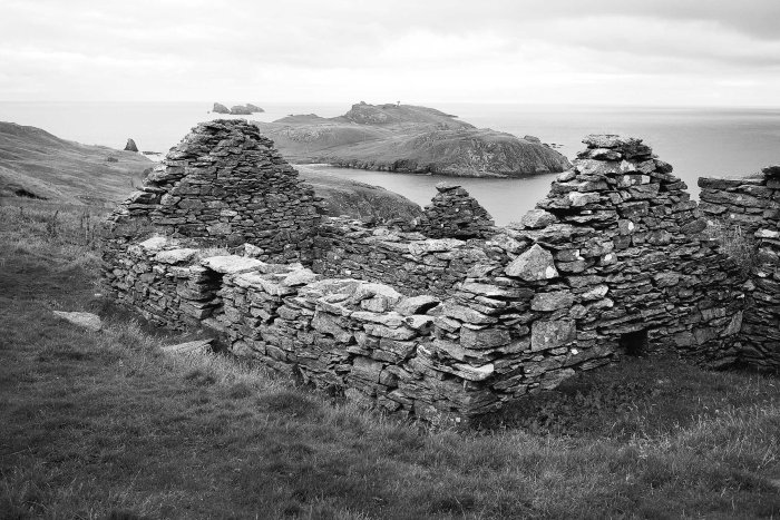 City Mouse Island Mouse