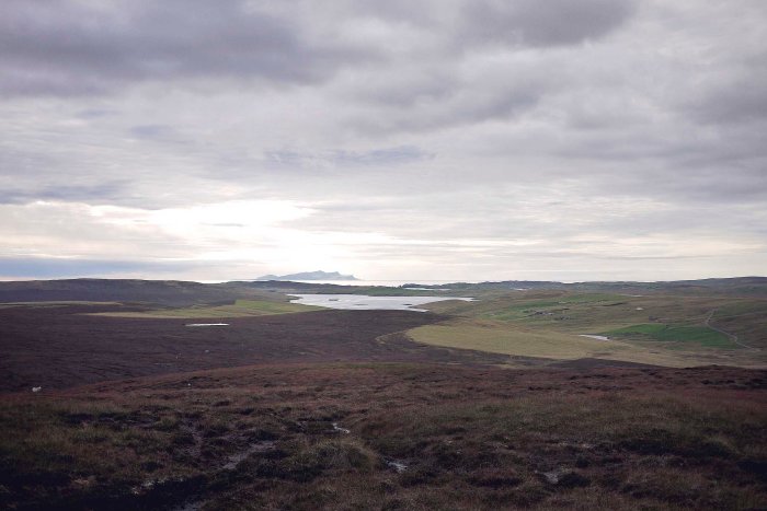 City Mouse Island Mouse