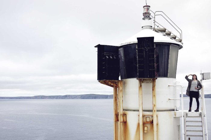 City Mouse Island Mouse