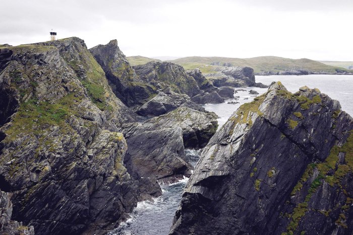 City Mouse Island Mouse