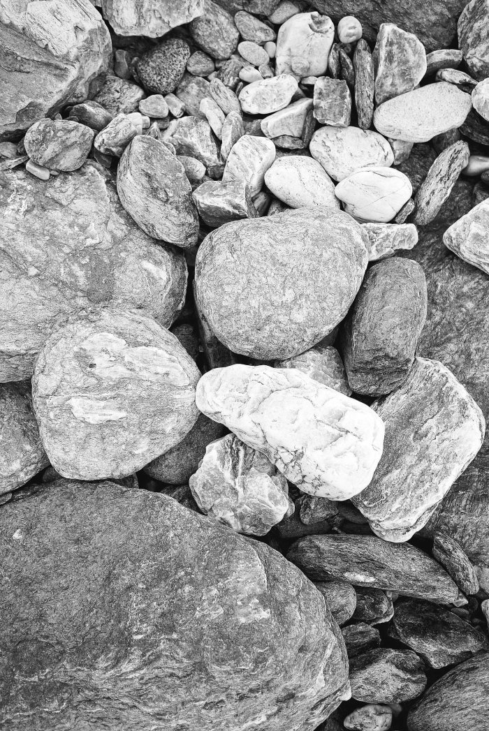 City Mouse Island Mouse