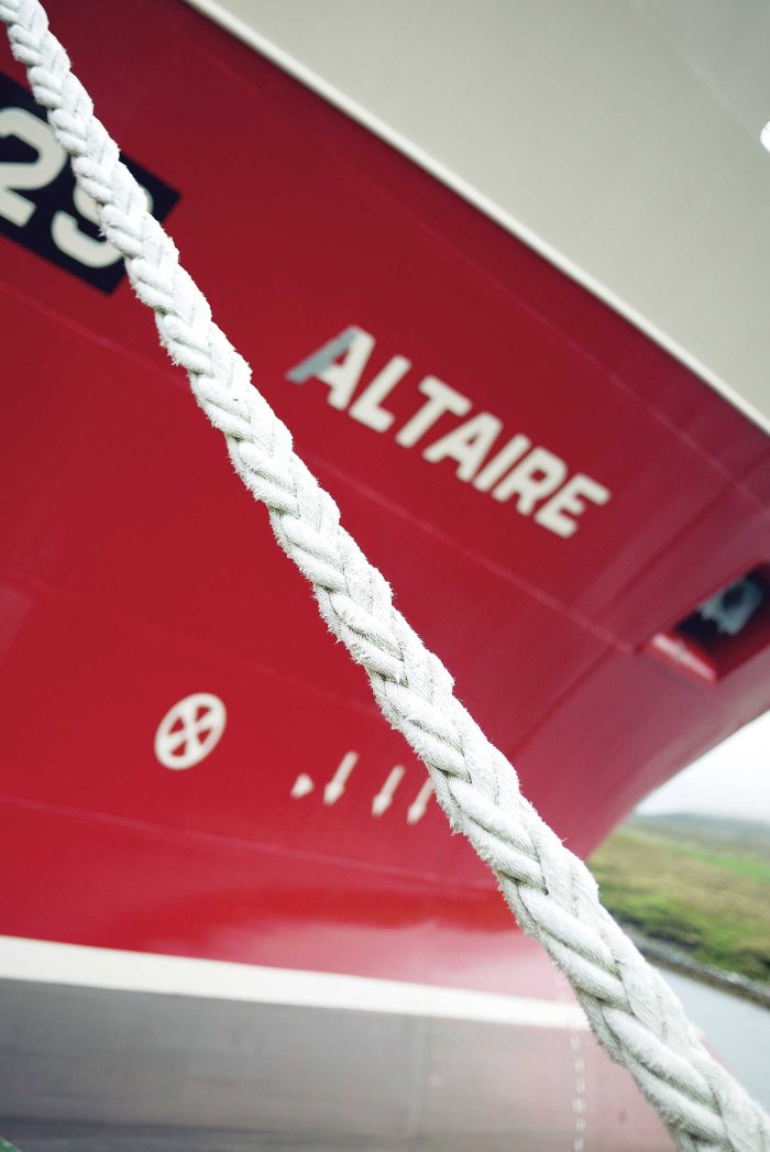 City Mouse Island Mouse