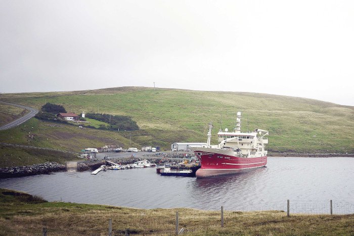 City Mouse Island Mouse