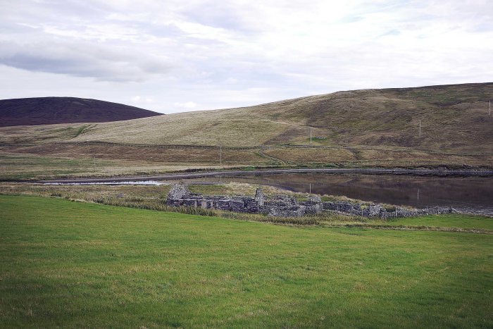 City Mouse Island Mouse