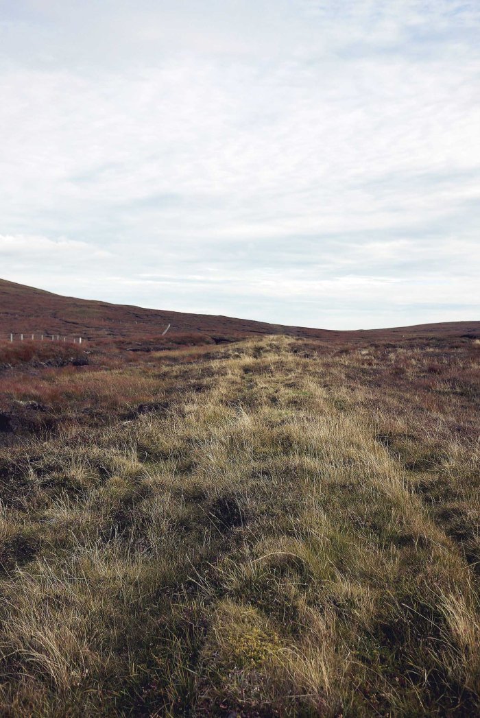 City Mouse Island Mouse