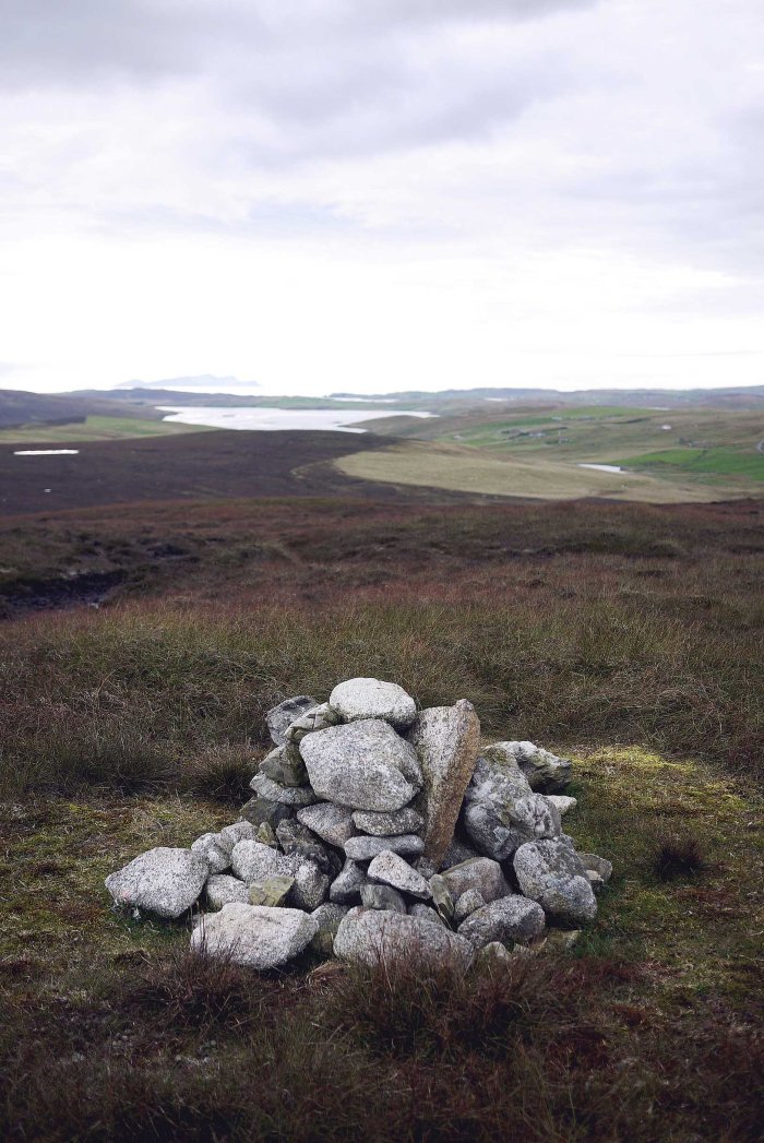 City Mouse Island Mouse