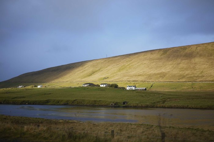 City Mouse Island Mouse