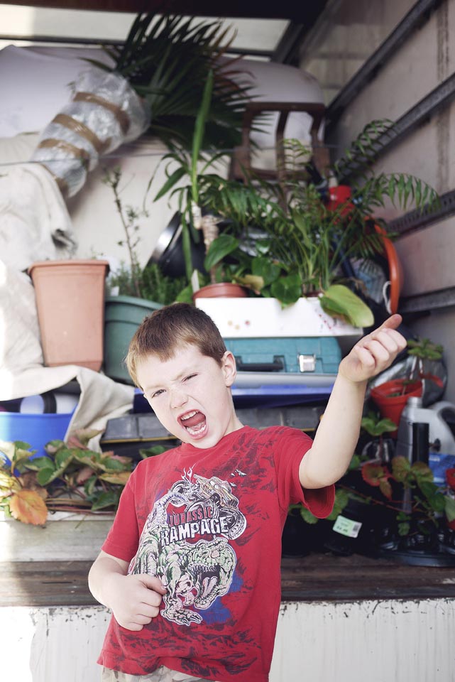 City Mouse Island Mouse