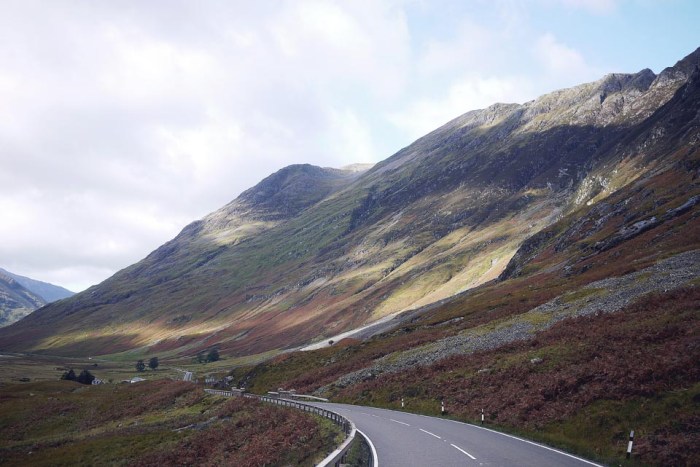 City Mouse Island Mouse