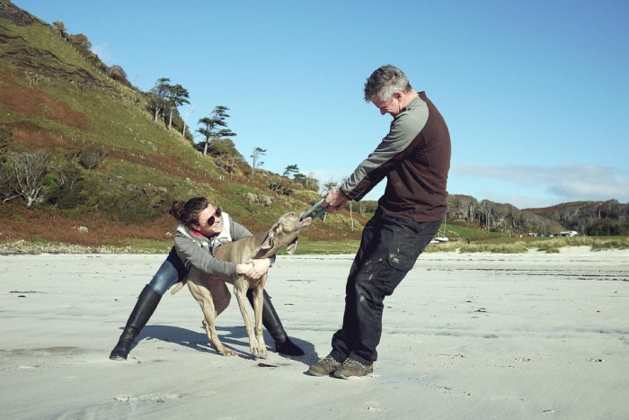 City Mouse Island Mouse