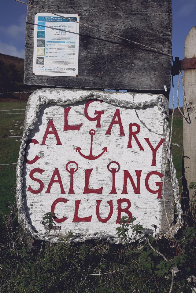 City Mouse Island Mouse