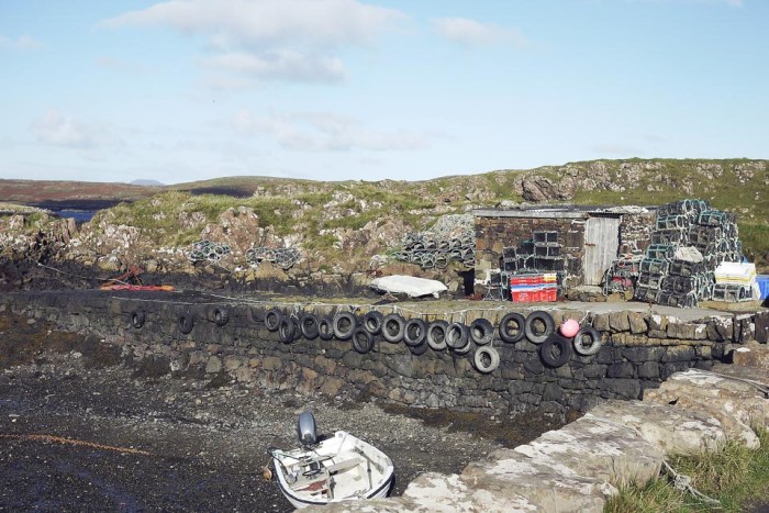 City Mouse Island Mouse