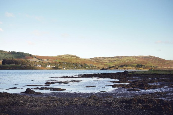 City Mouse Island Mouse