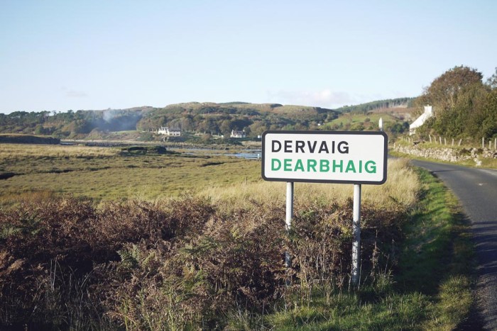 City Mouse Island Mouse