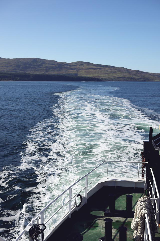 City Mouse Island Mouse