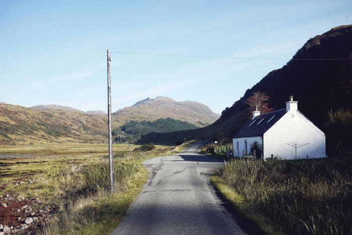 City Mouse Island Mouse