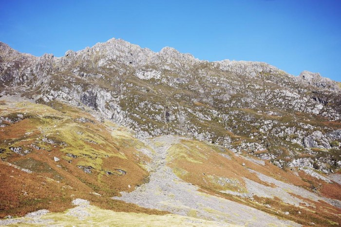 City Mouse Island Mouse