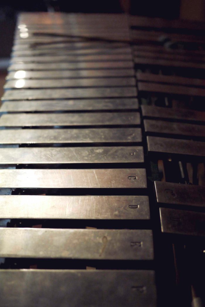 City Mouse Island Mouse