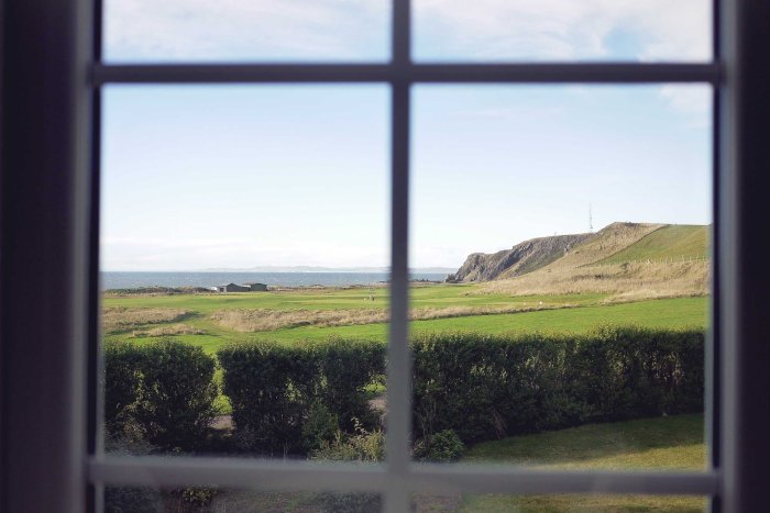 City Mouse Island Mouse