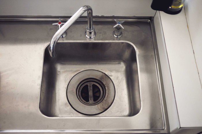 City Mouse Island Mouse