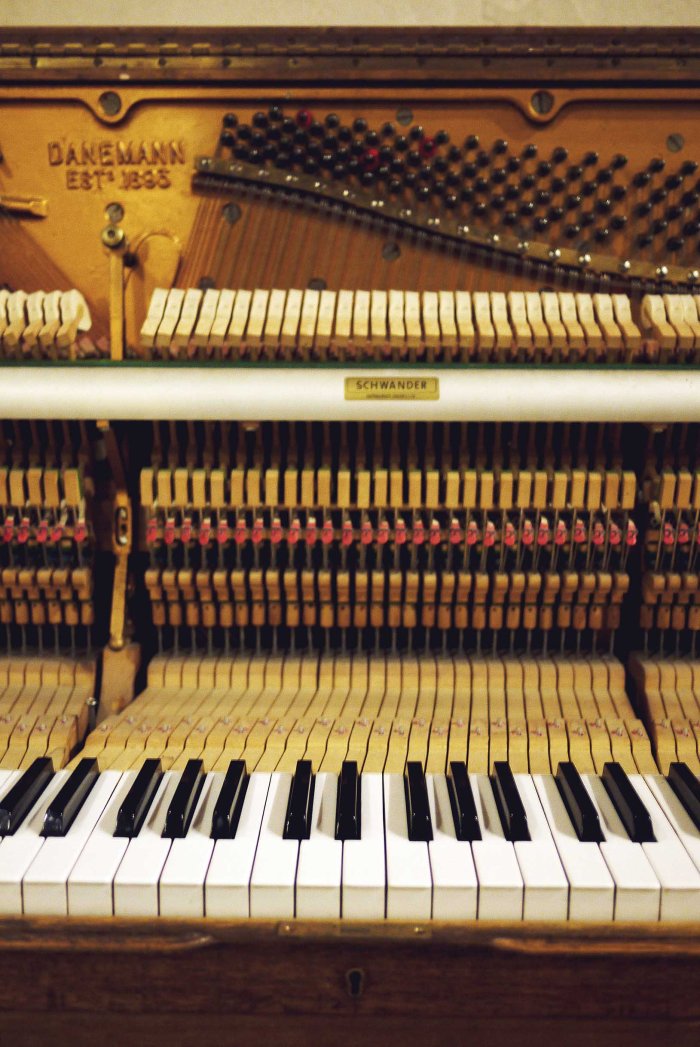 City Mouse Island Mouse