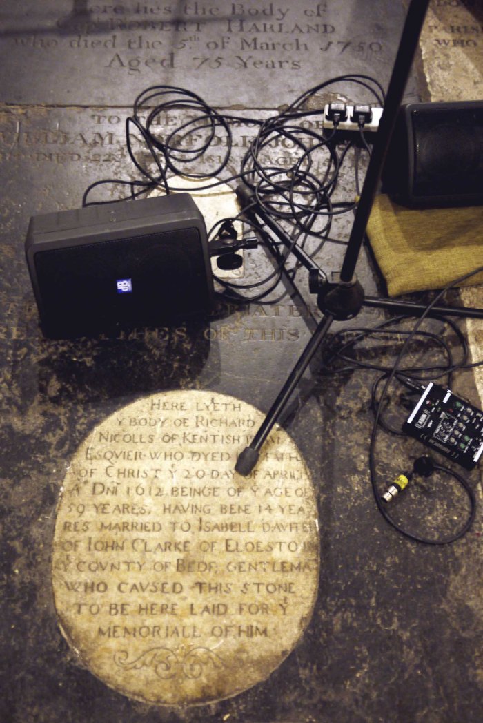 City Mouse Island Mouse