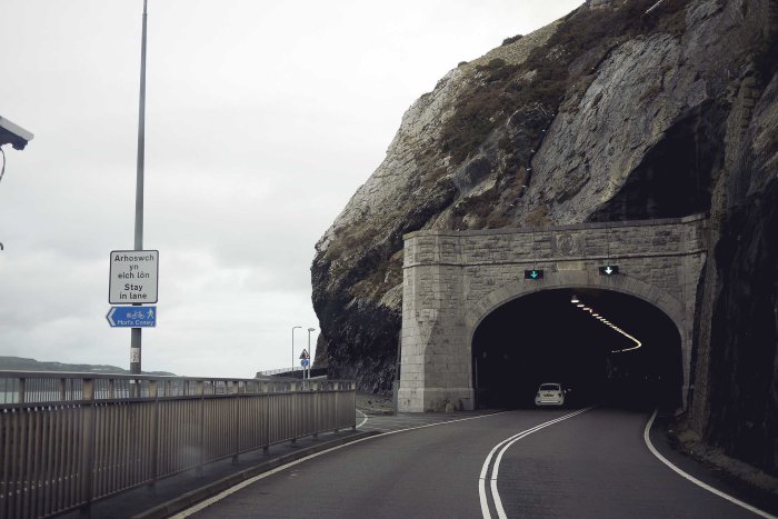 City Mouse Island Mouse