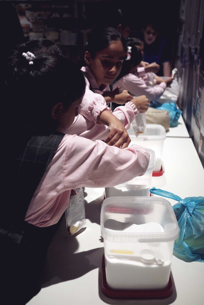 City Mouse Island Mouse