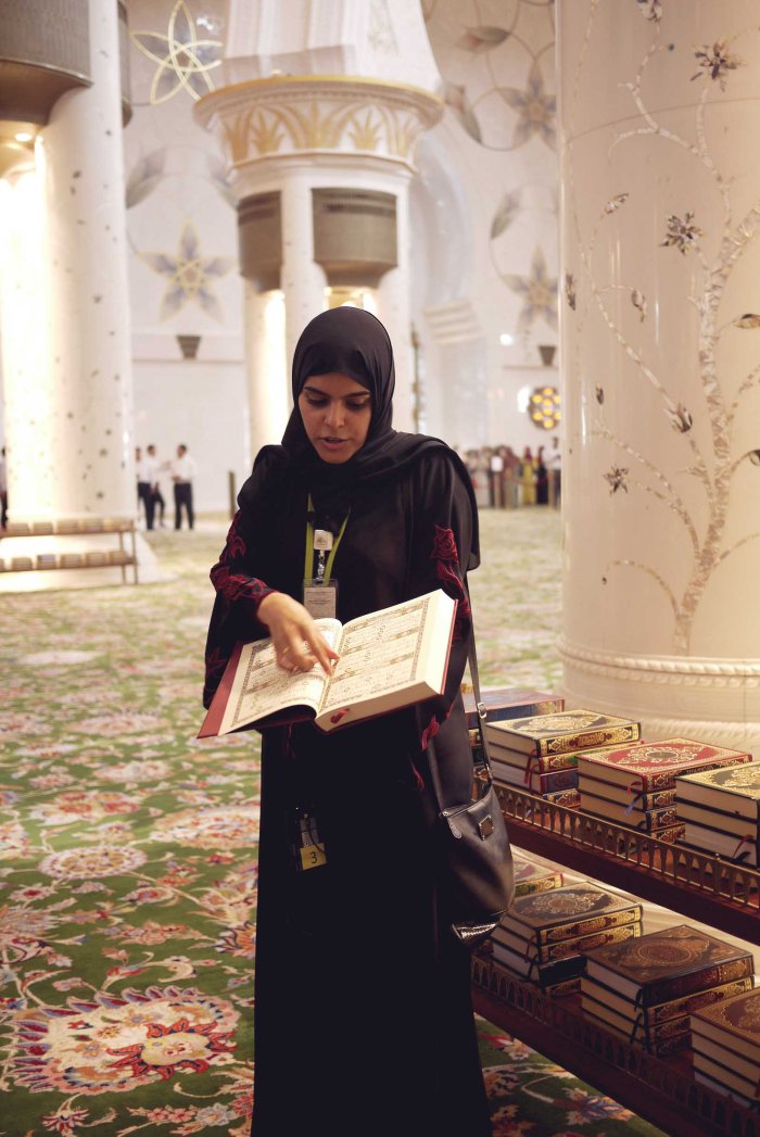 City Mouse Island Mouse