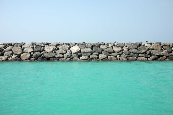 City Mouse Island Mouse