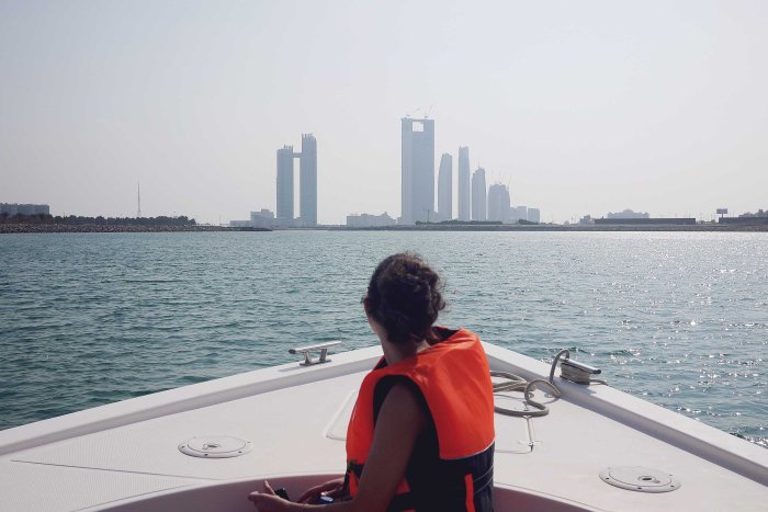 City Mouse Island Mouse